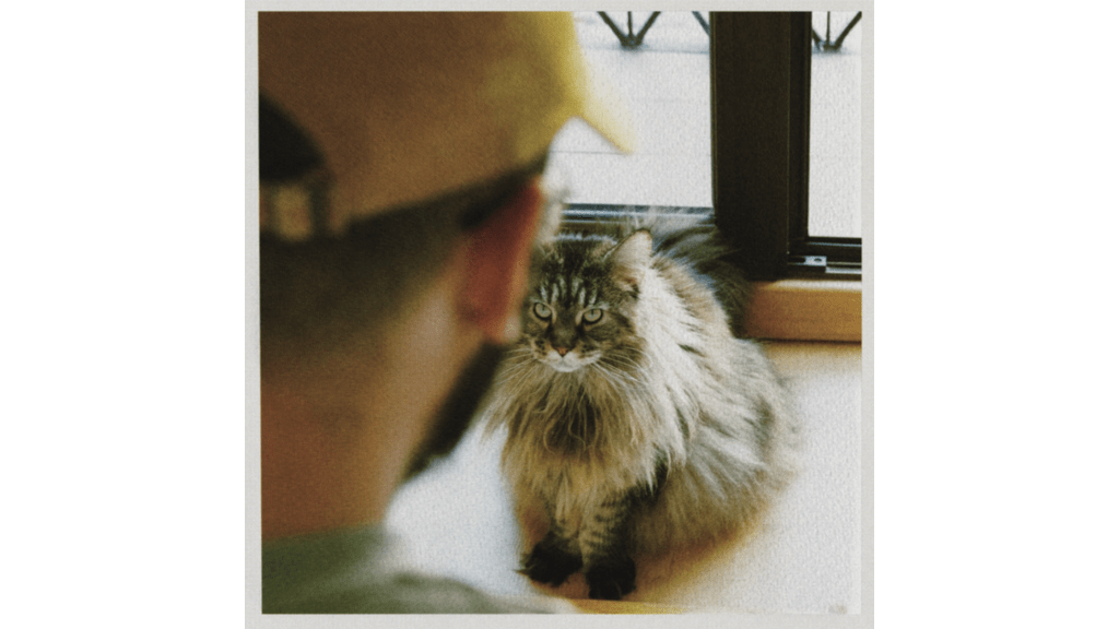 alberto.vela: gatos, Goyas, Tiny Desk y “Ebastel”