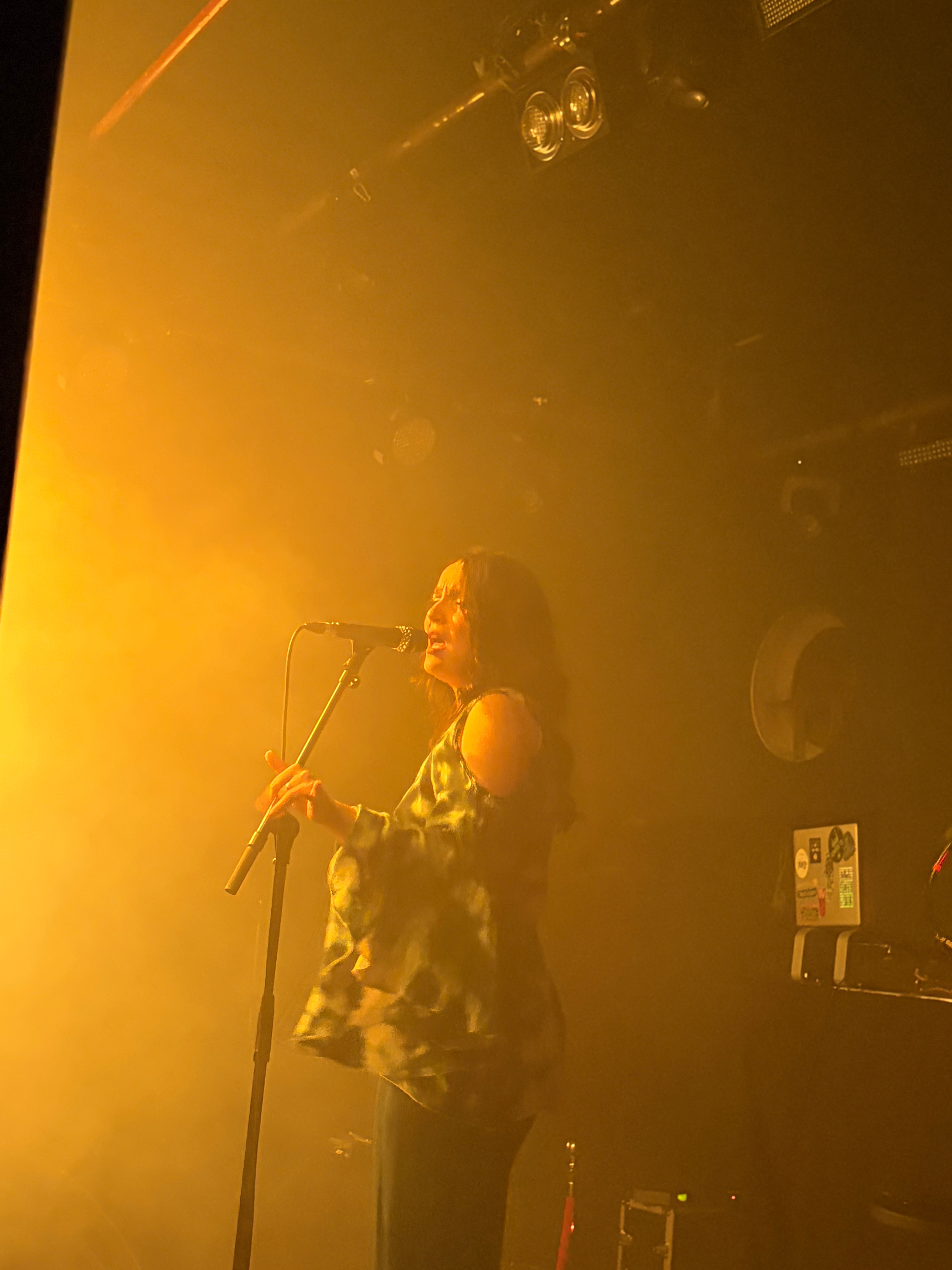 Fitasha cantando en el concierto de vibess