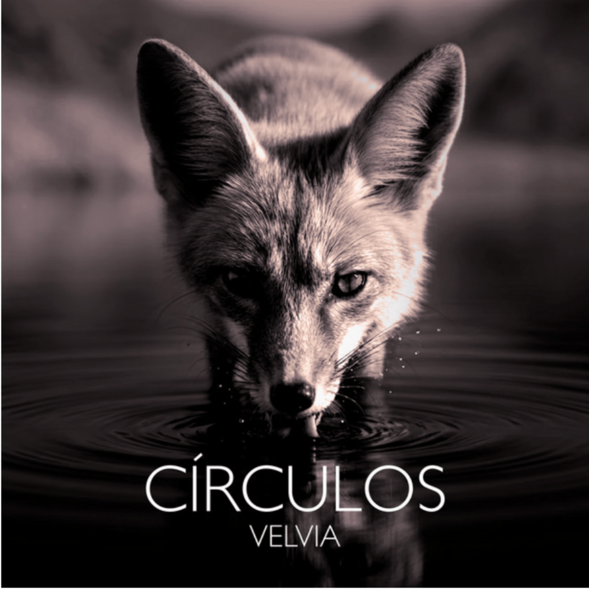VELVIA cierra ‘Círculos’: electro pop para aprender a&nbsp;soltar
